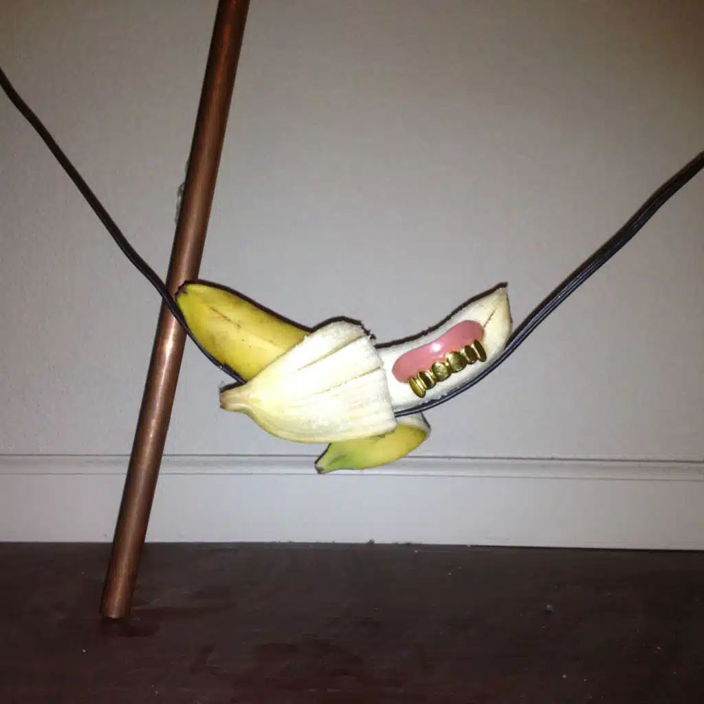 More Than the Fairy (feat. Les Claypool)