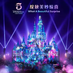 What A Beautiful Surprise (Shanghai Disney Resort 5th Anniversary Theme Song)