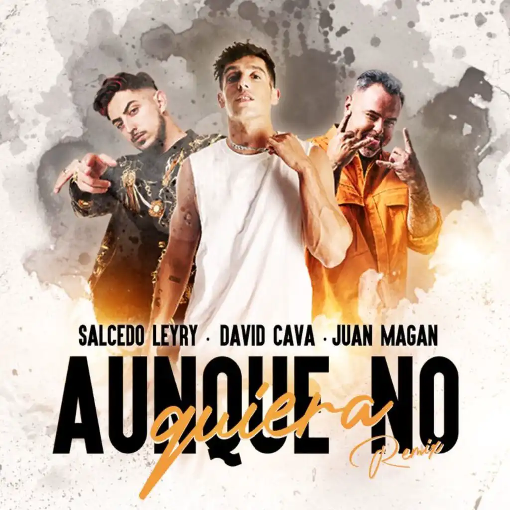 Aunque No Quiera (Remix)