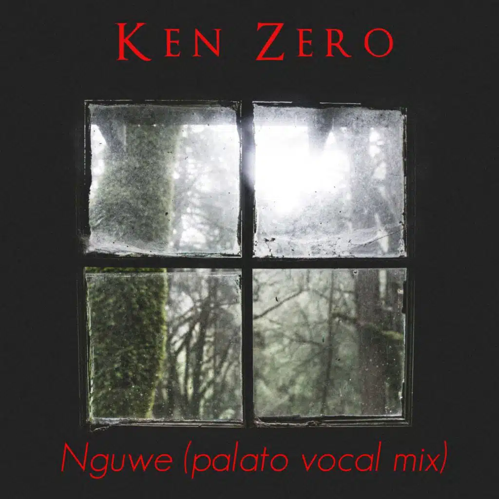 Nguwe (Palato Vocal Mix) [feat. Nhlanhla M]