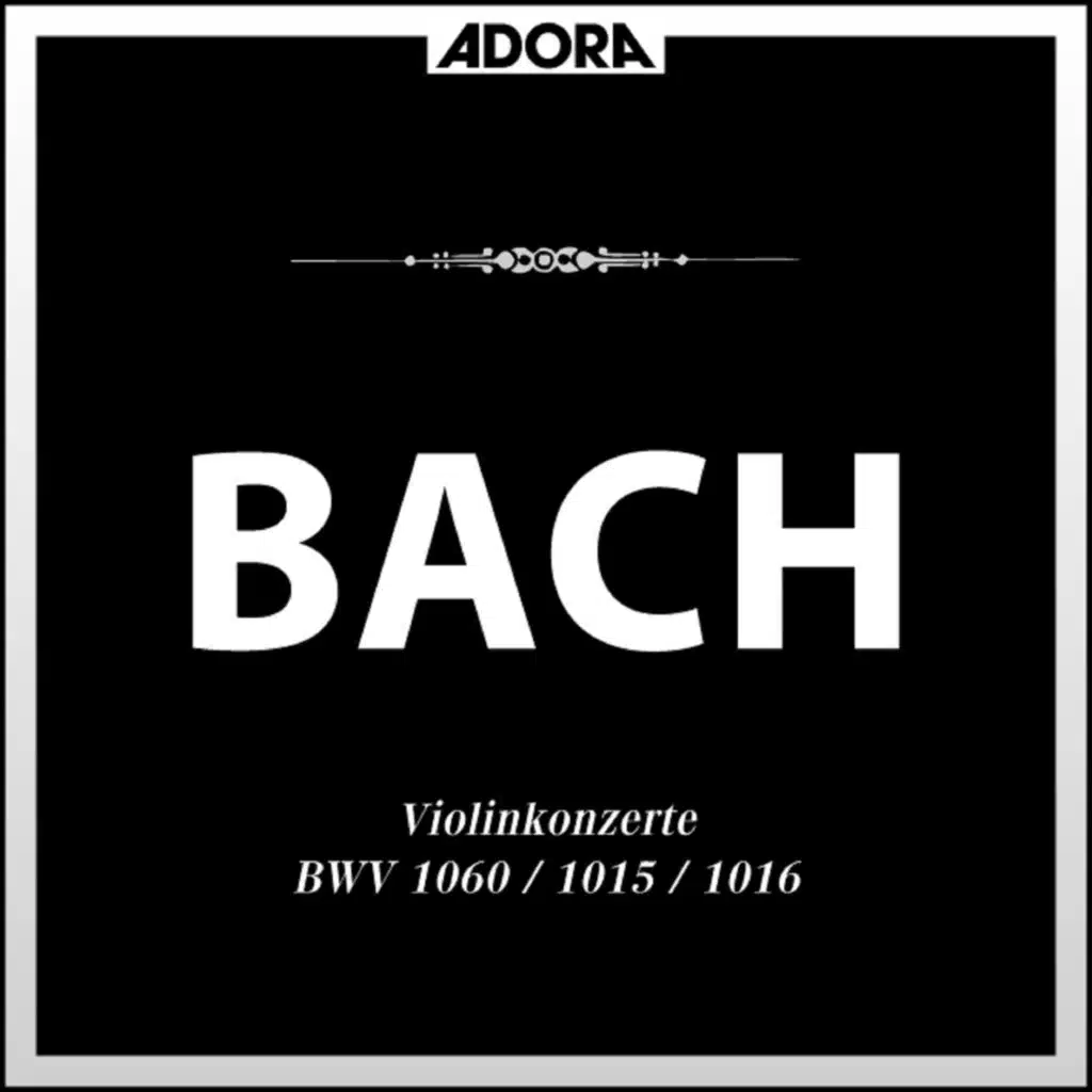 Sonate No. 3 für Violine und Cembalo in E Major, BWV 1016: III. Adagio ma non tanto
