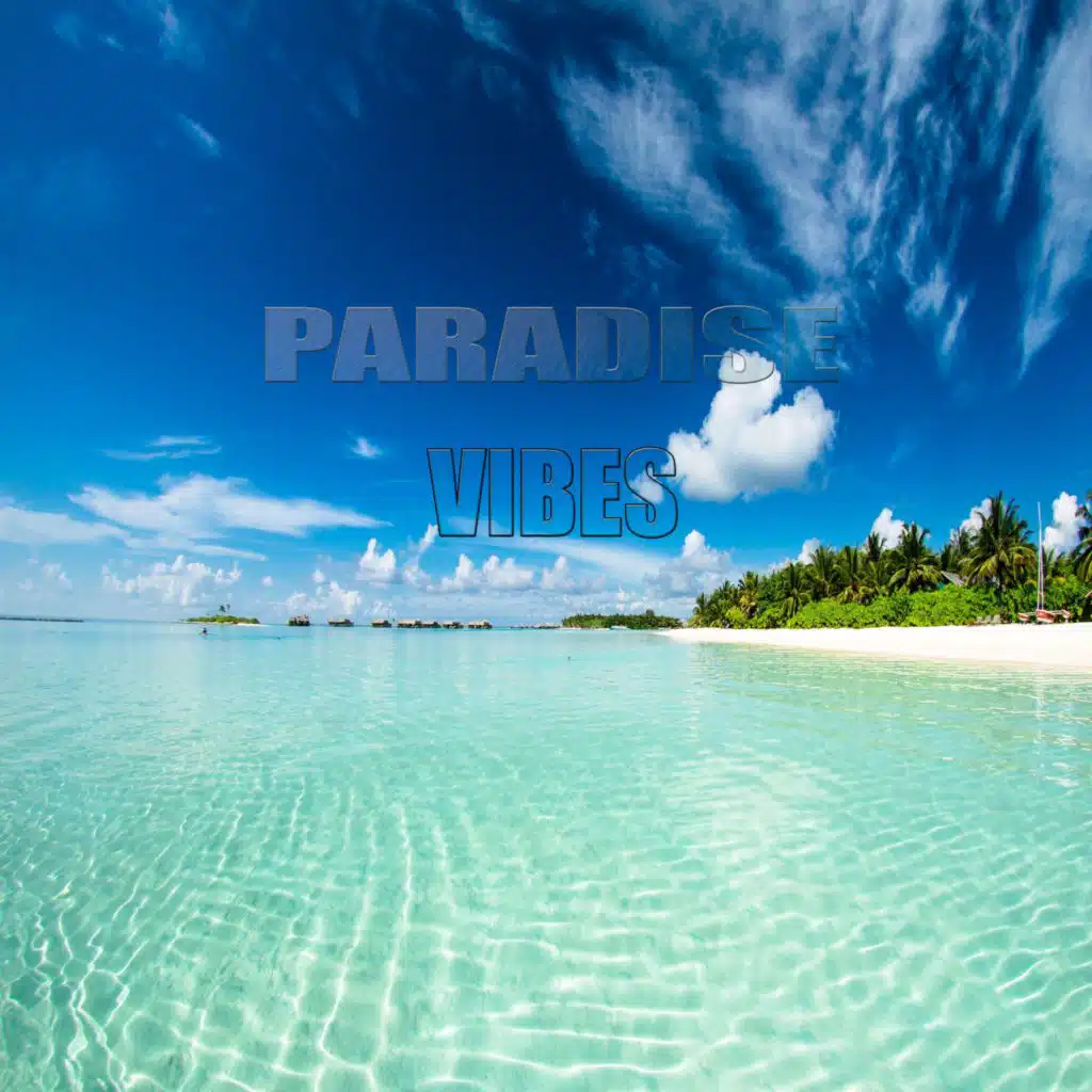 PARADISE VIBES