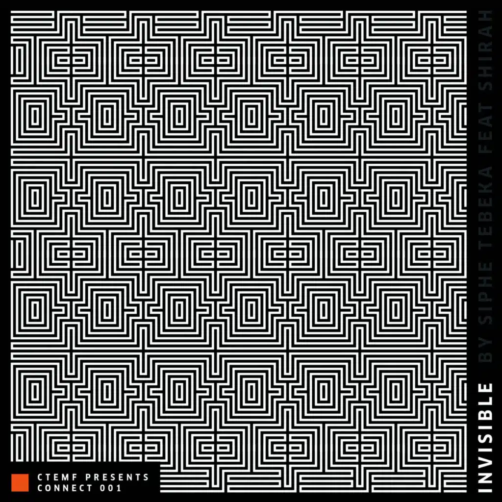 Invisible (Radio Edit) [feat. Shirah Cheezer]