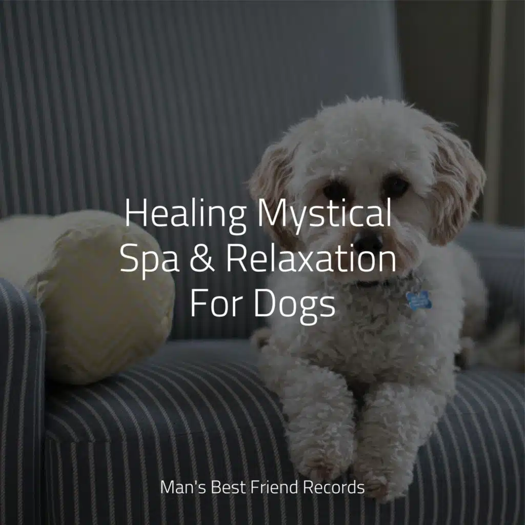 Relaxation Music For Dogs, Jazz Music for Dogs & Sleeping Music For Dogs
