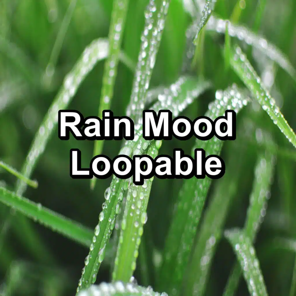 Moderate Rain Anti Stress To Repeat for 10 Hours