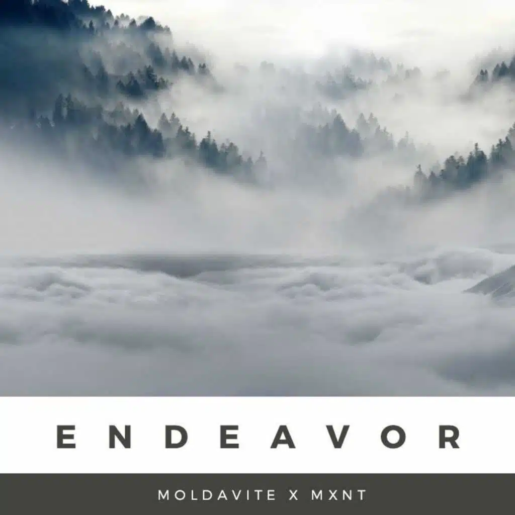 Endeavor