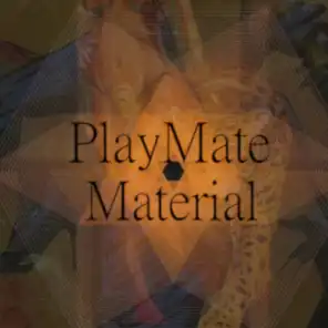 Playmate Material