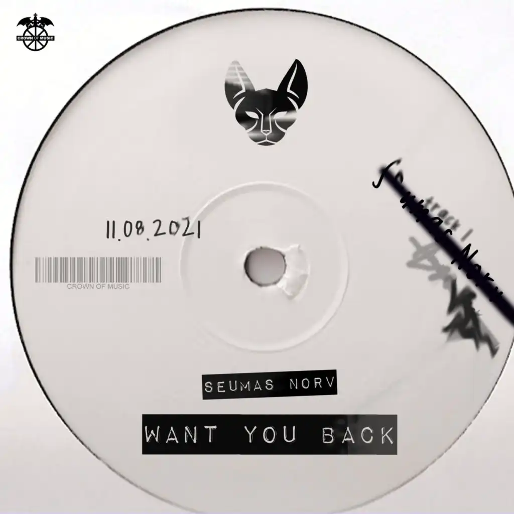 Want You Back (Radio Edit)