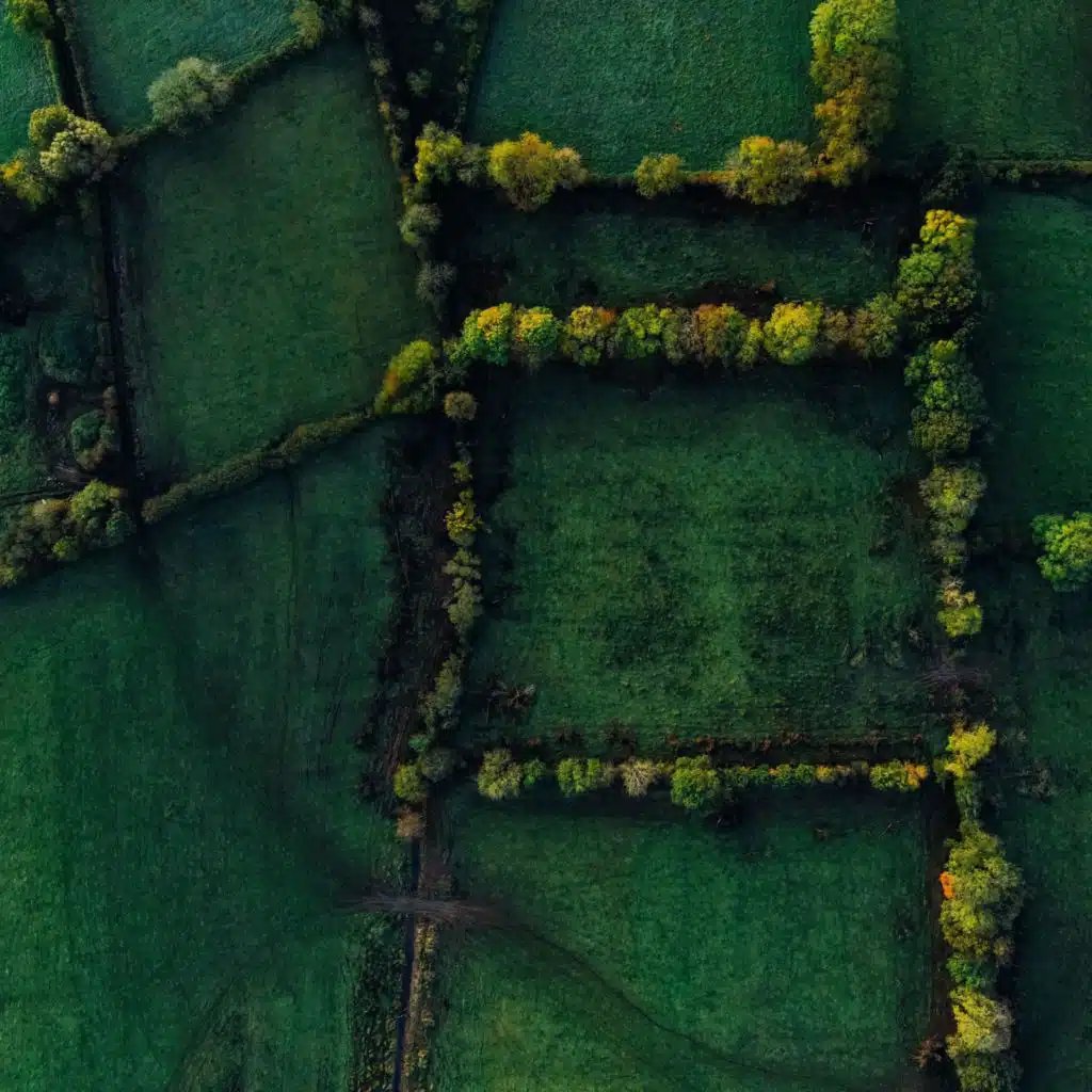 Best of Relaxing Melodies | Relaxation