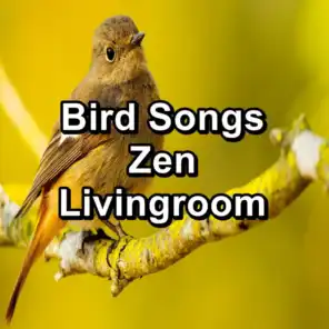 Bird, Bird Sounds & Singing Birds