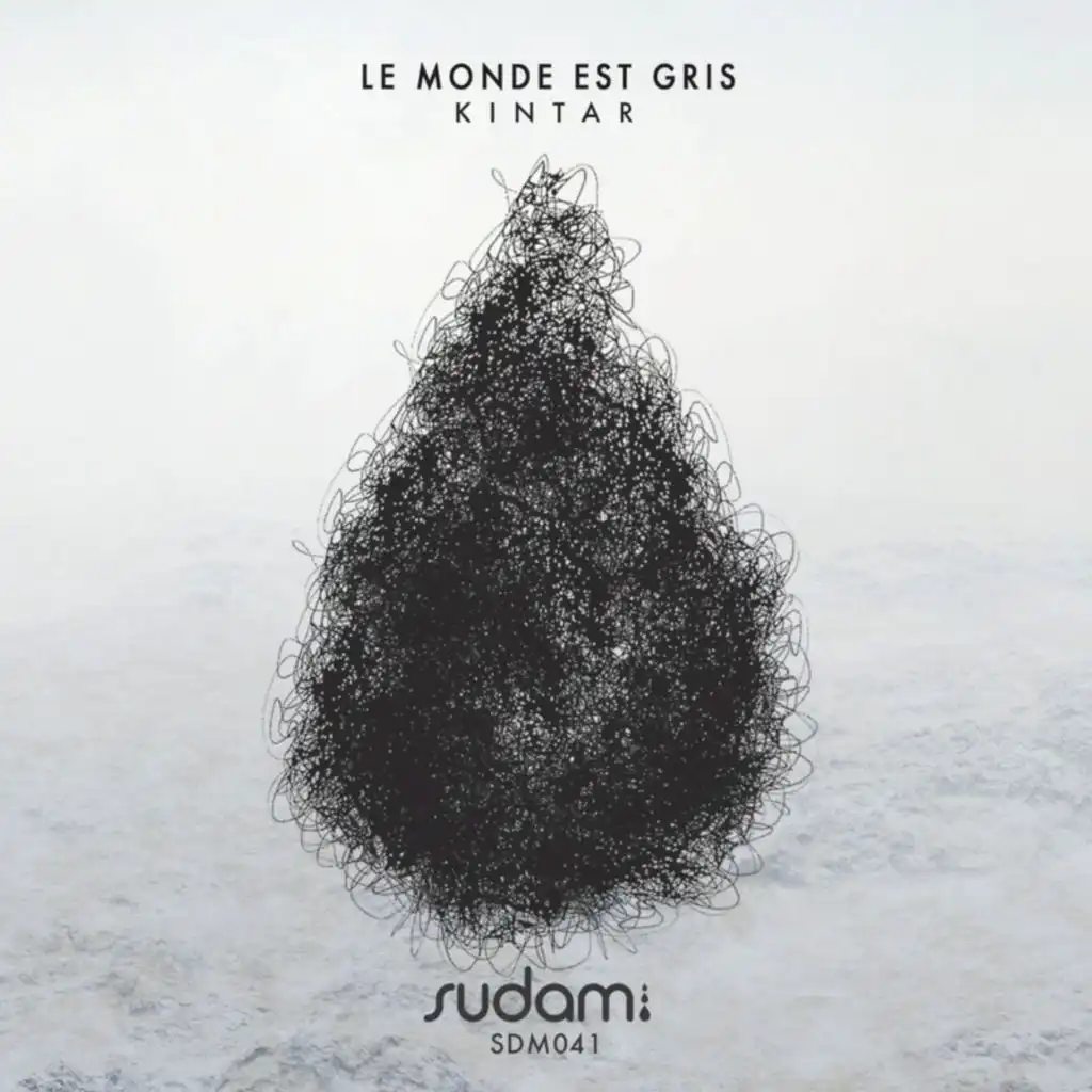 Le Monde Est Gris (feat. Luxury)