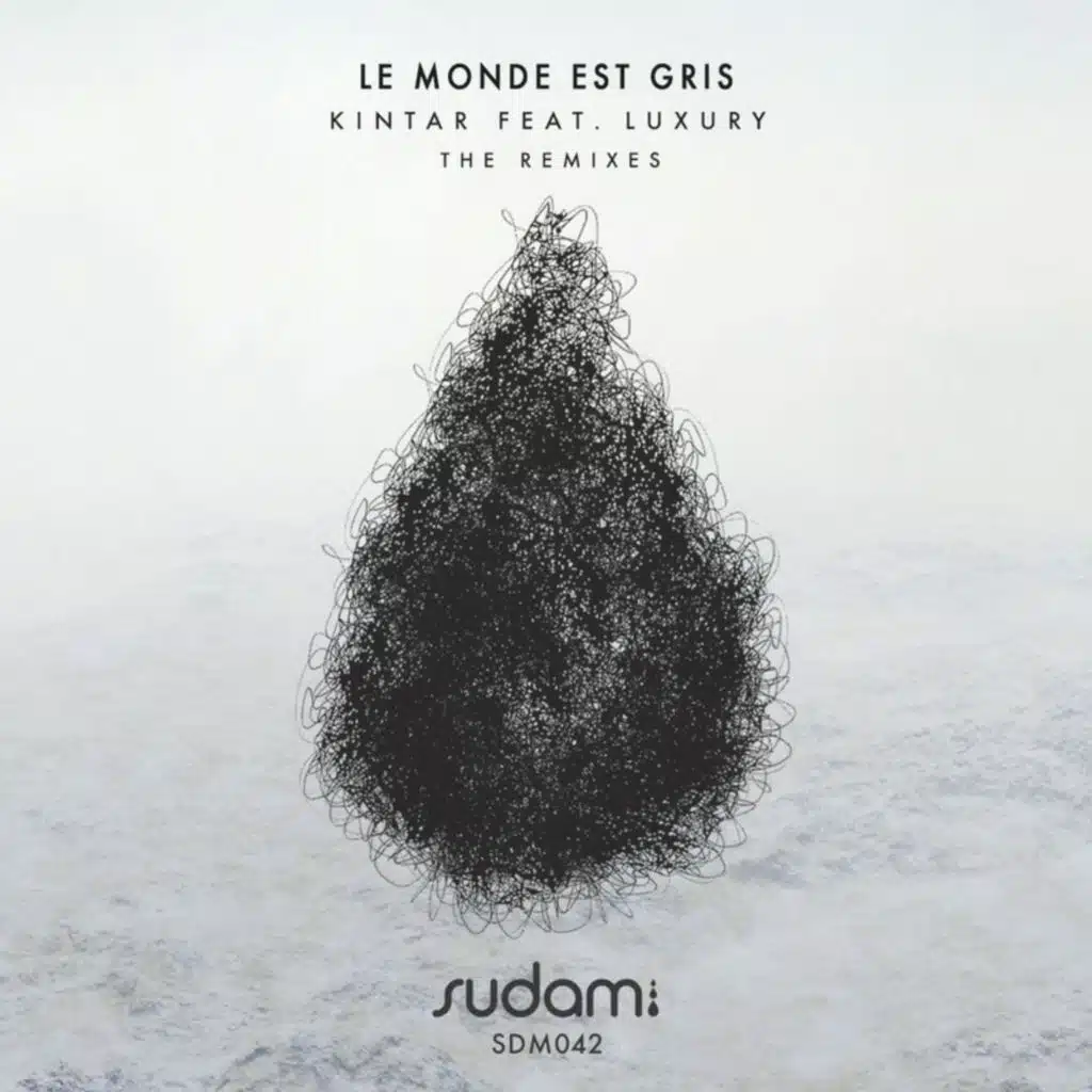 Le Monde Est Gris (Who Else Remix)