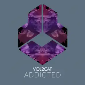 Addicted (Radio Edit)