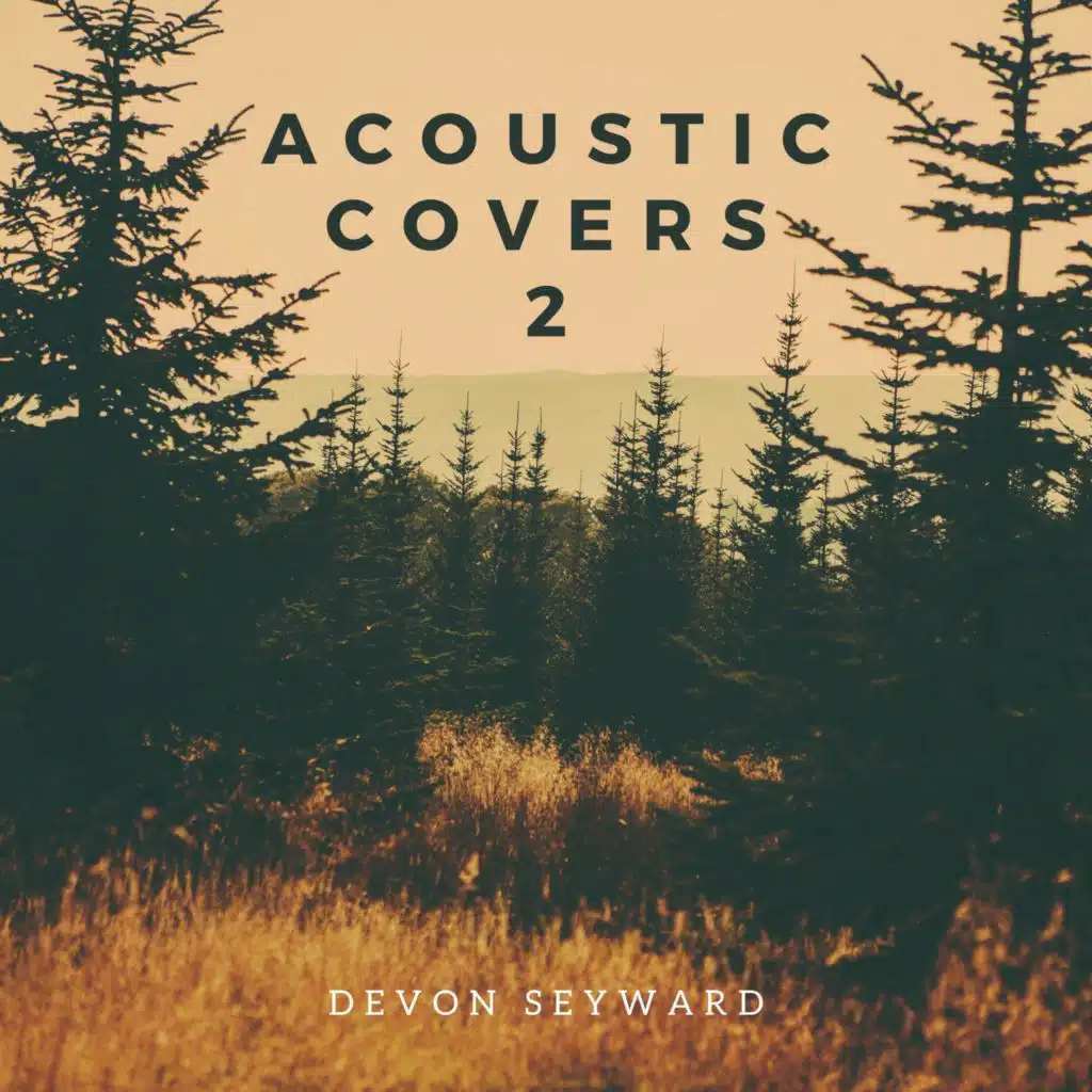 Acoustic Covers 2