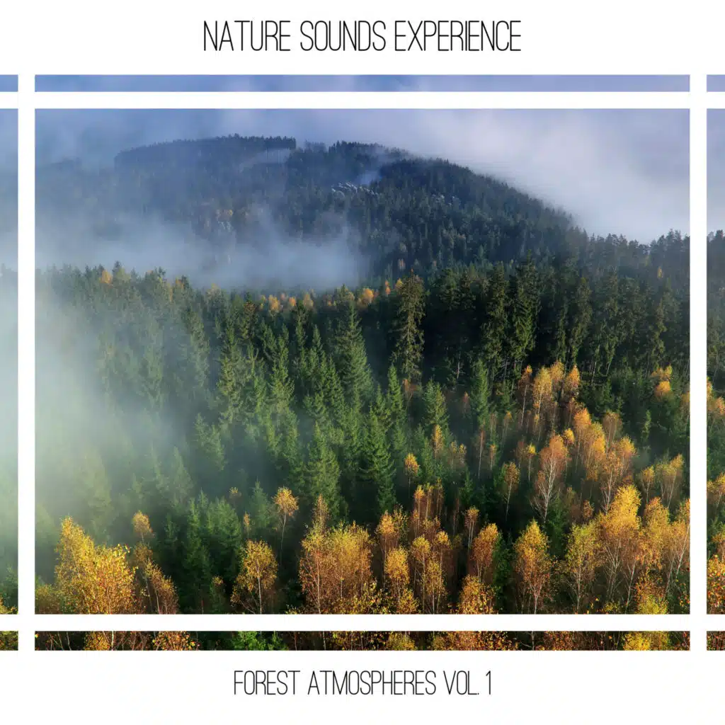 Nature Sounds Experience