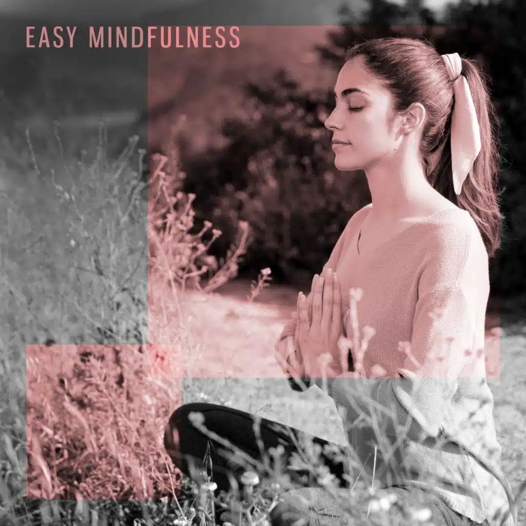 Easy Mindfulness – 15 New Age Songs Ideal for Starting an Adventure with Meditation
