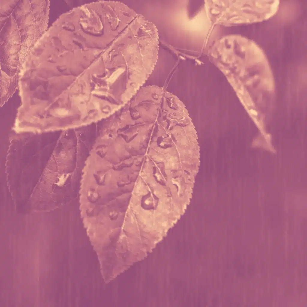 أجواء (تهدئة)