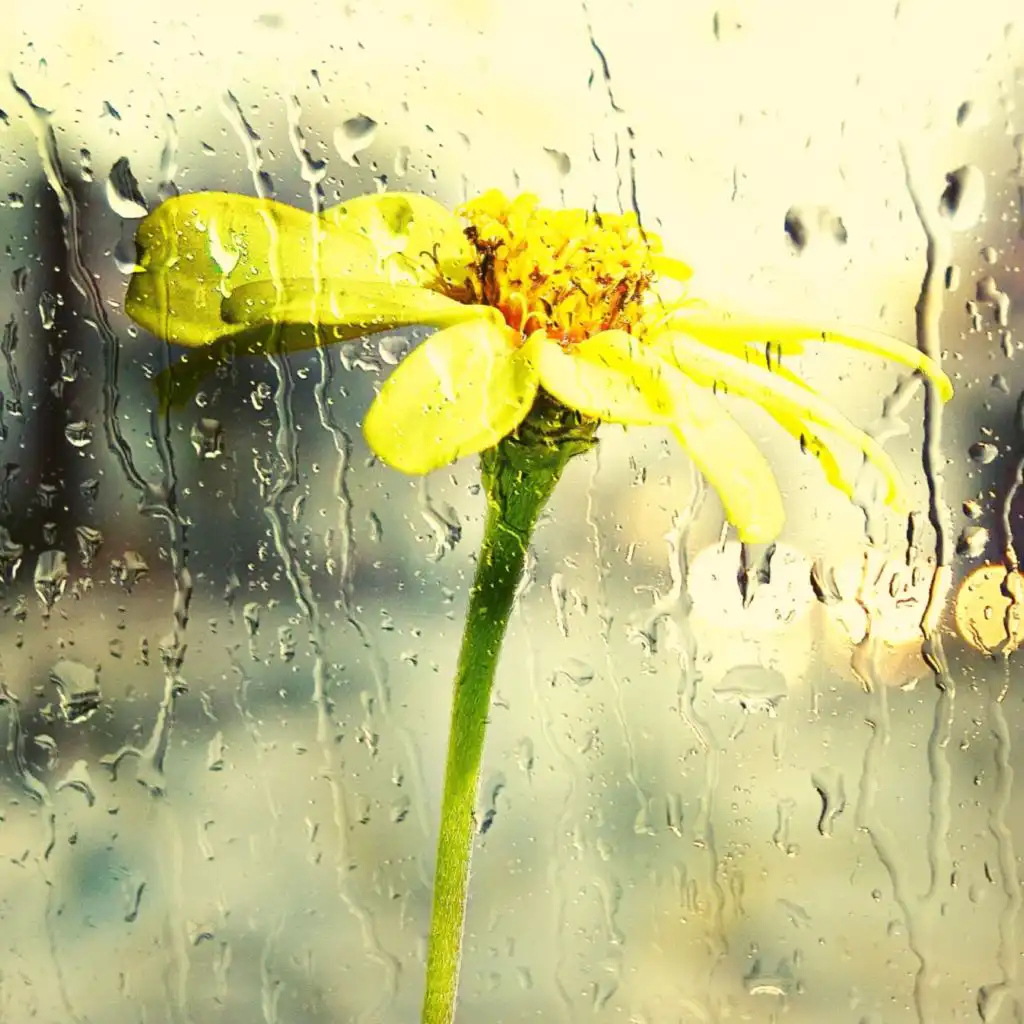 الرؤى (تركيز)