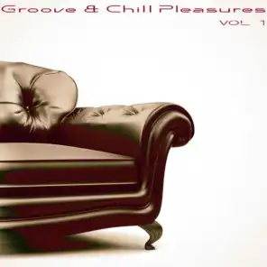Groove & Chill Pleasures, Vol. 1