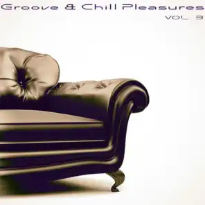 Groove & Chill Pleasures, Vol. 3
