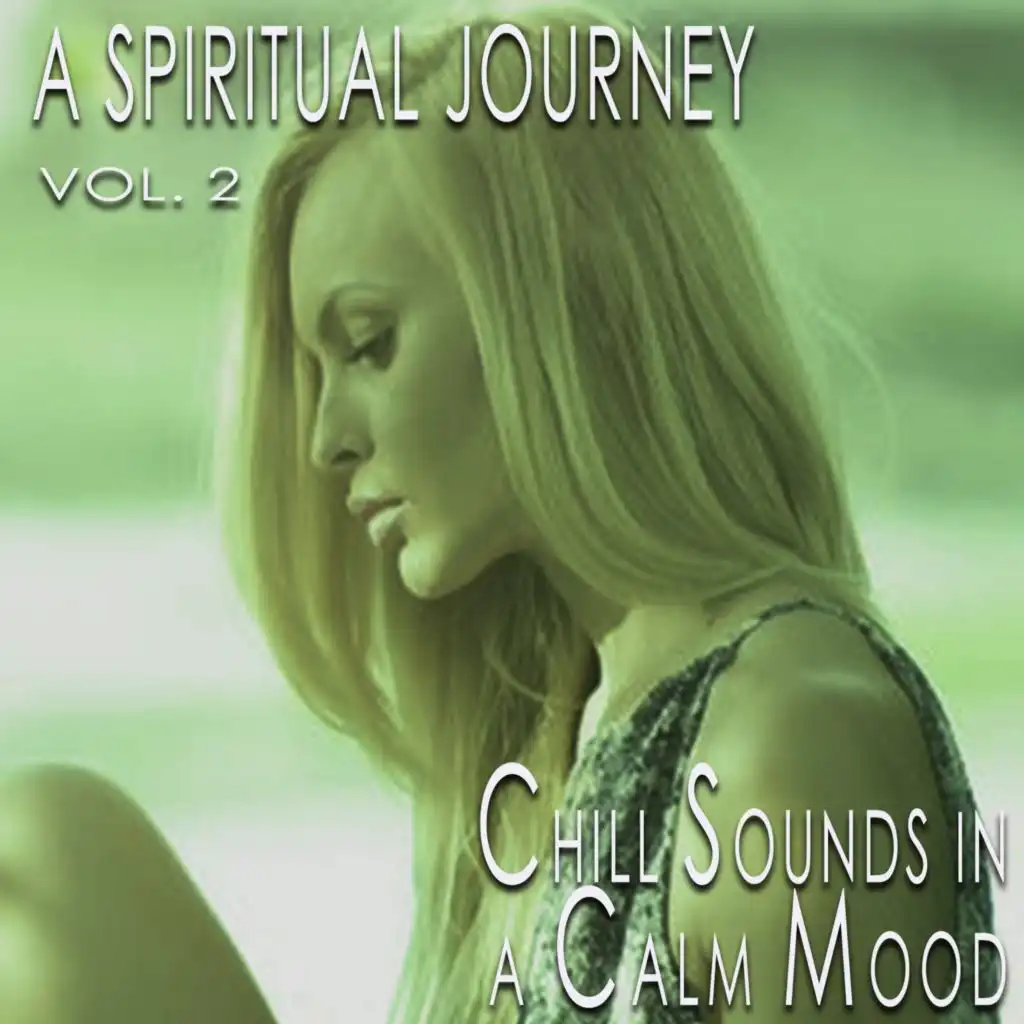 A Spiritual Journey, Vol. 2