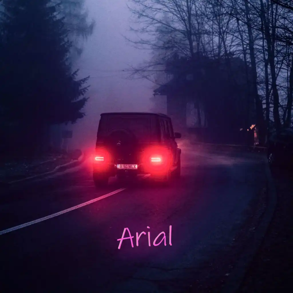 Arial