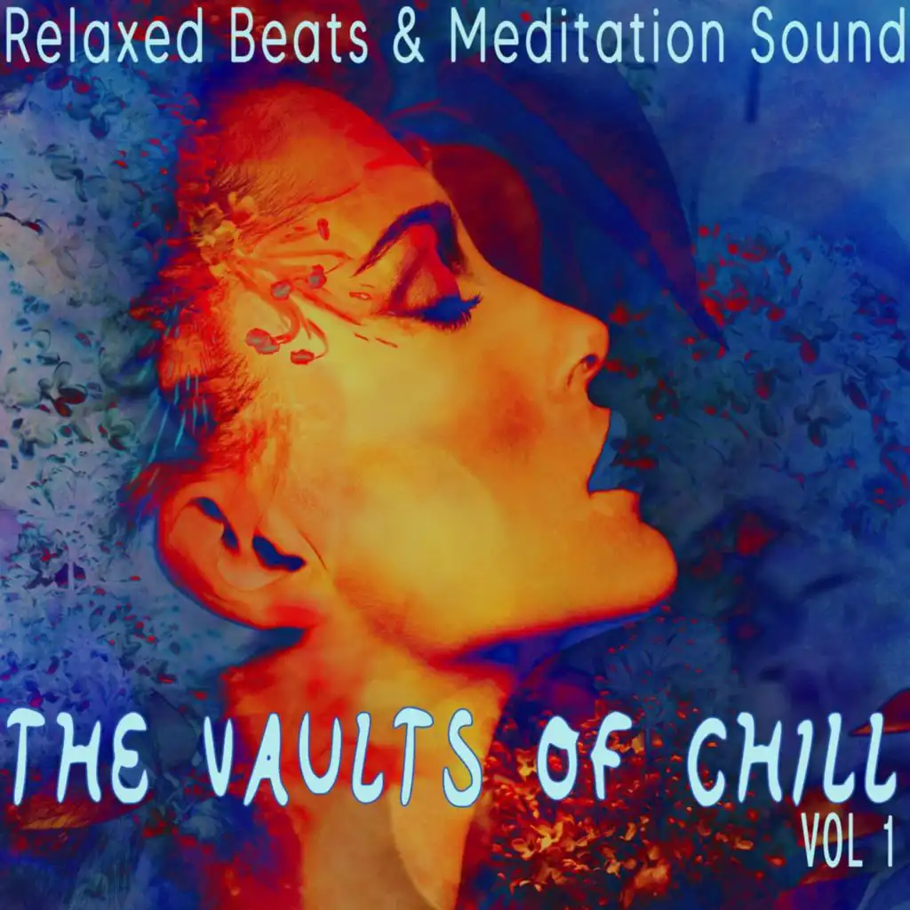 The Vaults of Chill, Vol. 1 - Relaxed Beats & Meditation Sounds