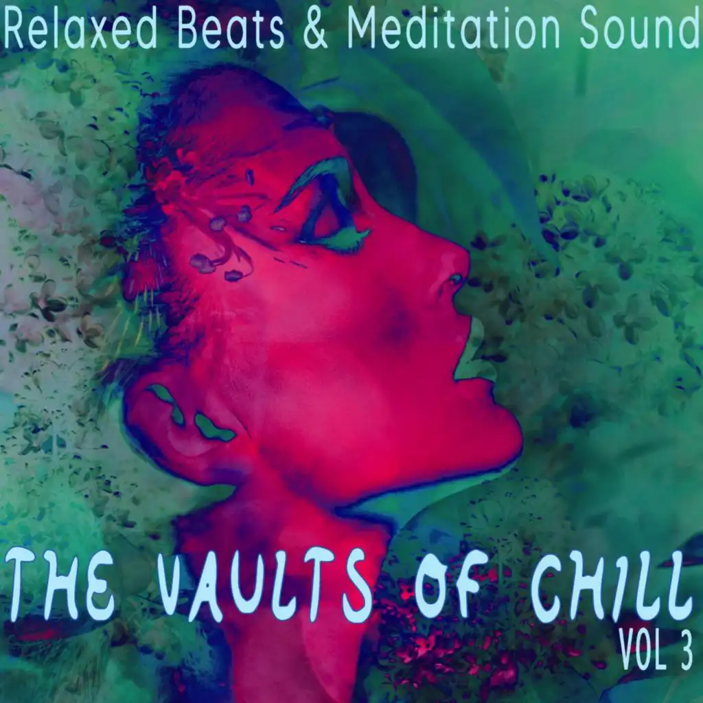 The Vaults of Chill, Vol 3 - Relaxed Beats & Meditation Sounds