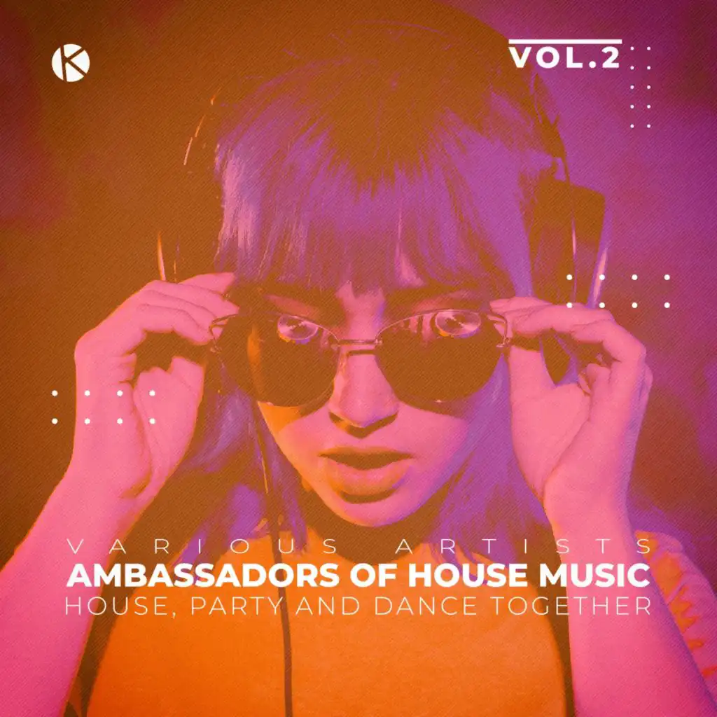Ambassadors of House Music, Vol. 2