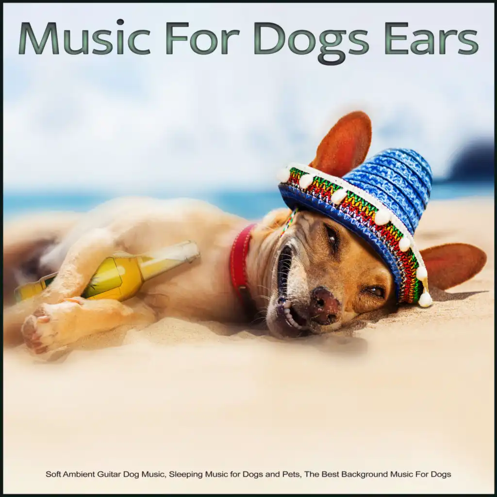 Music for Dogs Ears: Soft Ambient Guitar Dog Music, Sleeping Music for Dogs and Pets, The Best Background Music For Dogs