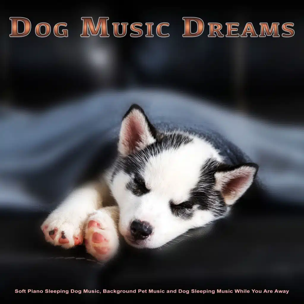Music For Dogs and Pets