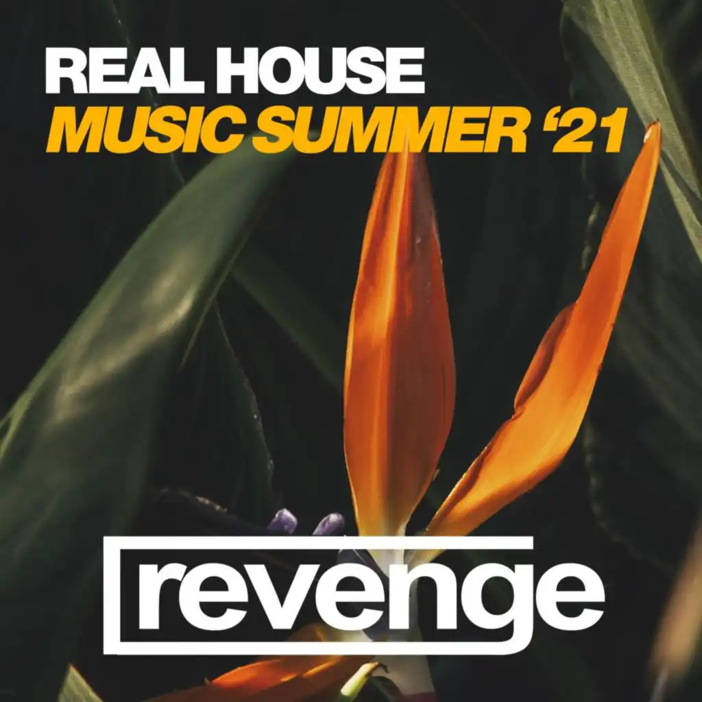 House Bounce (Dub Mix)
