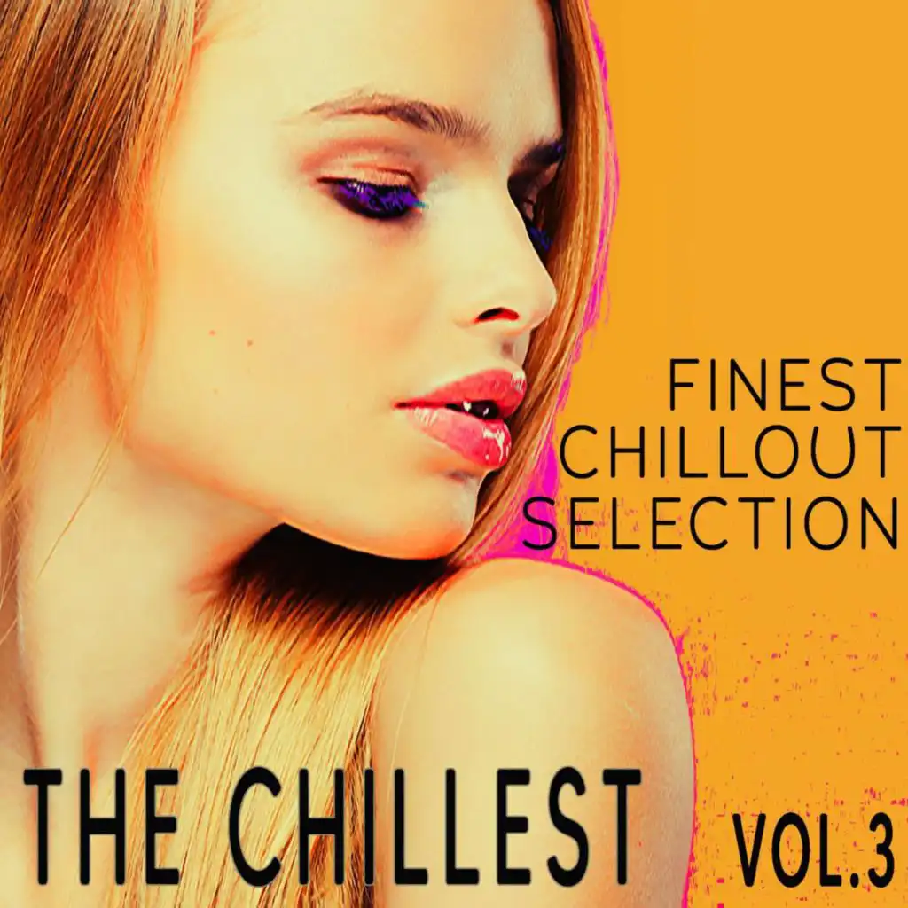 The Chillest, Vol.3 - Finest Chillout Selection