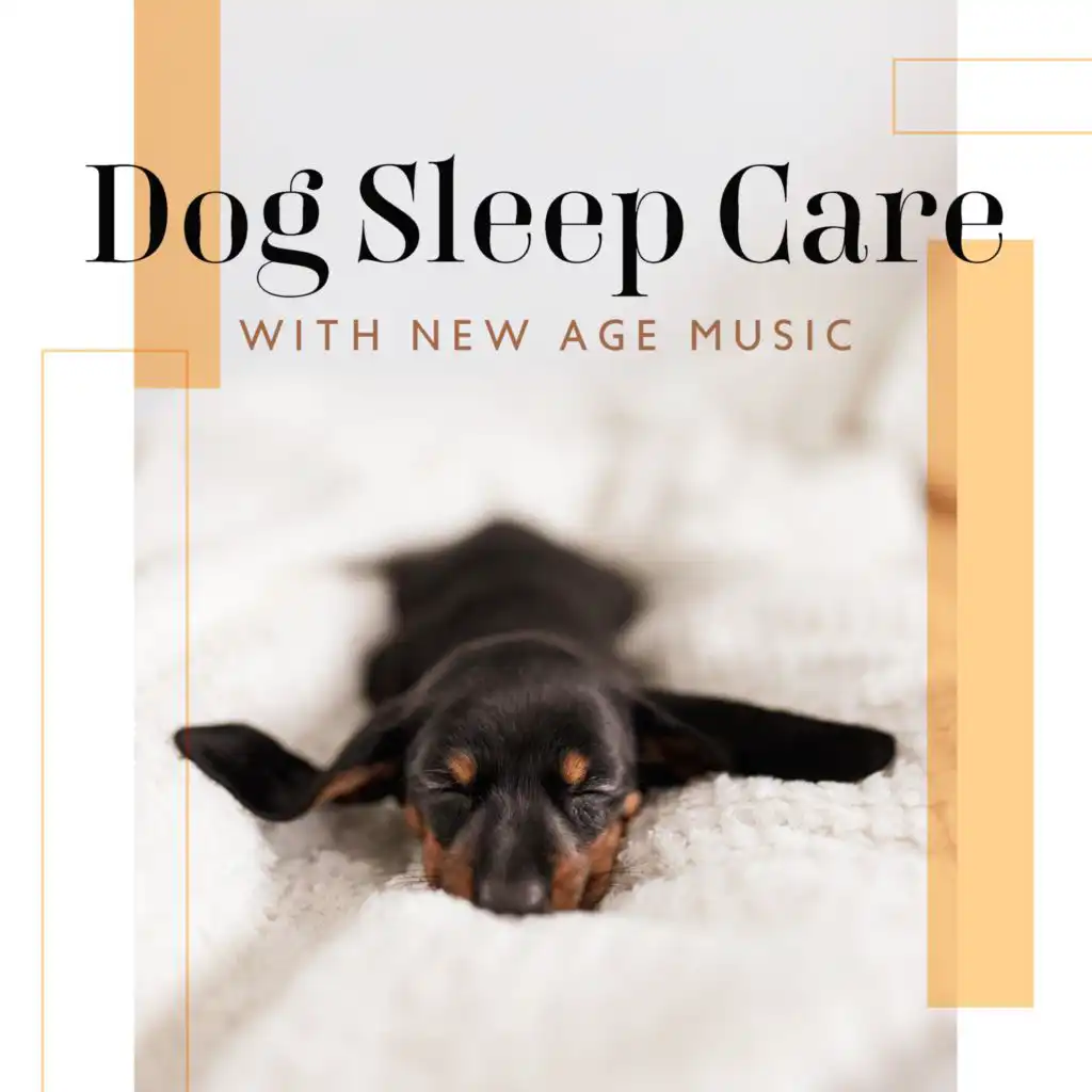 Sleeping Music for Dogs Therapy