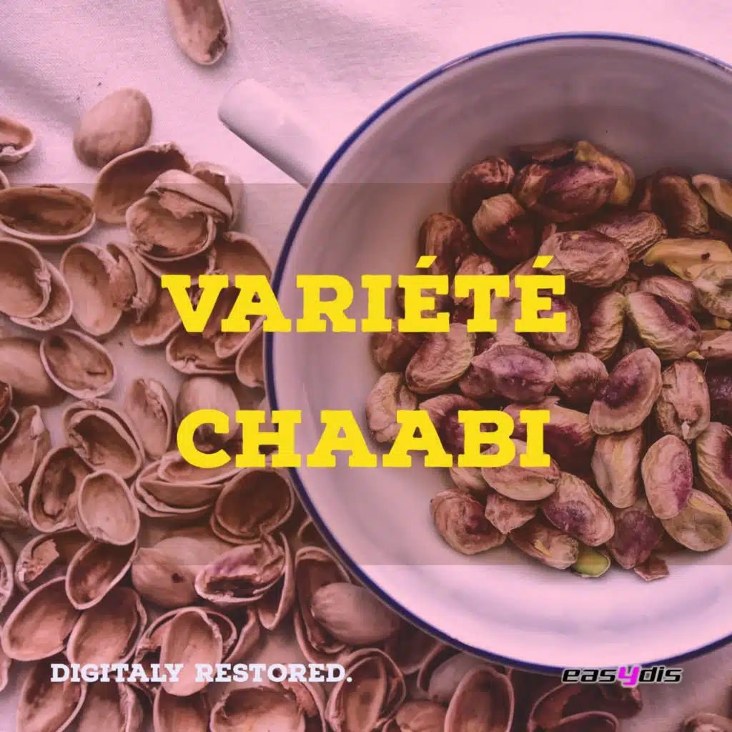 Dami ya dami / دامي يا دامي