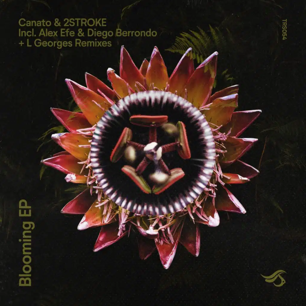 Blooming (feat. Alex Efe & L Georges)