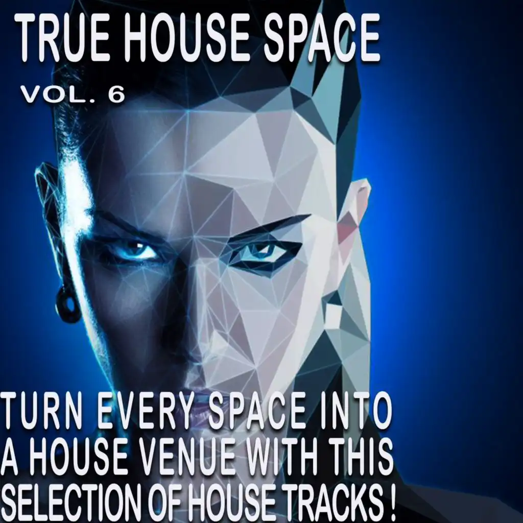 The House Space, Vol. 6