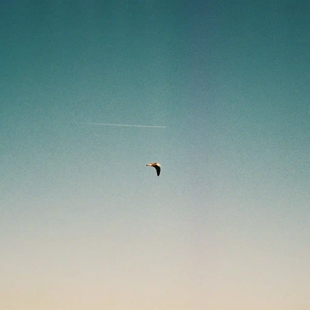 Kapitel 9 (Michael Benedikt Remix)