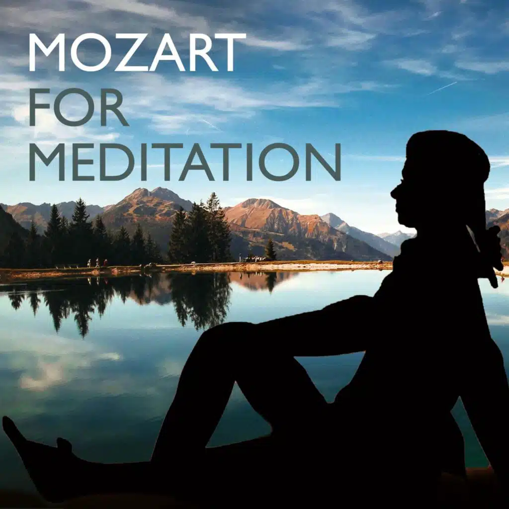 Sinfonia concertante in E-Flat Major, K. 364: II. Andante