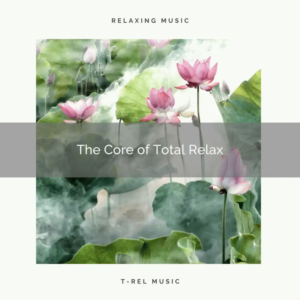 ! ! ! ! ! ! ! ! ! ! The Core of Total Relax