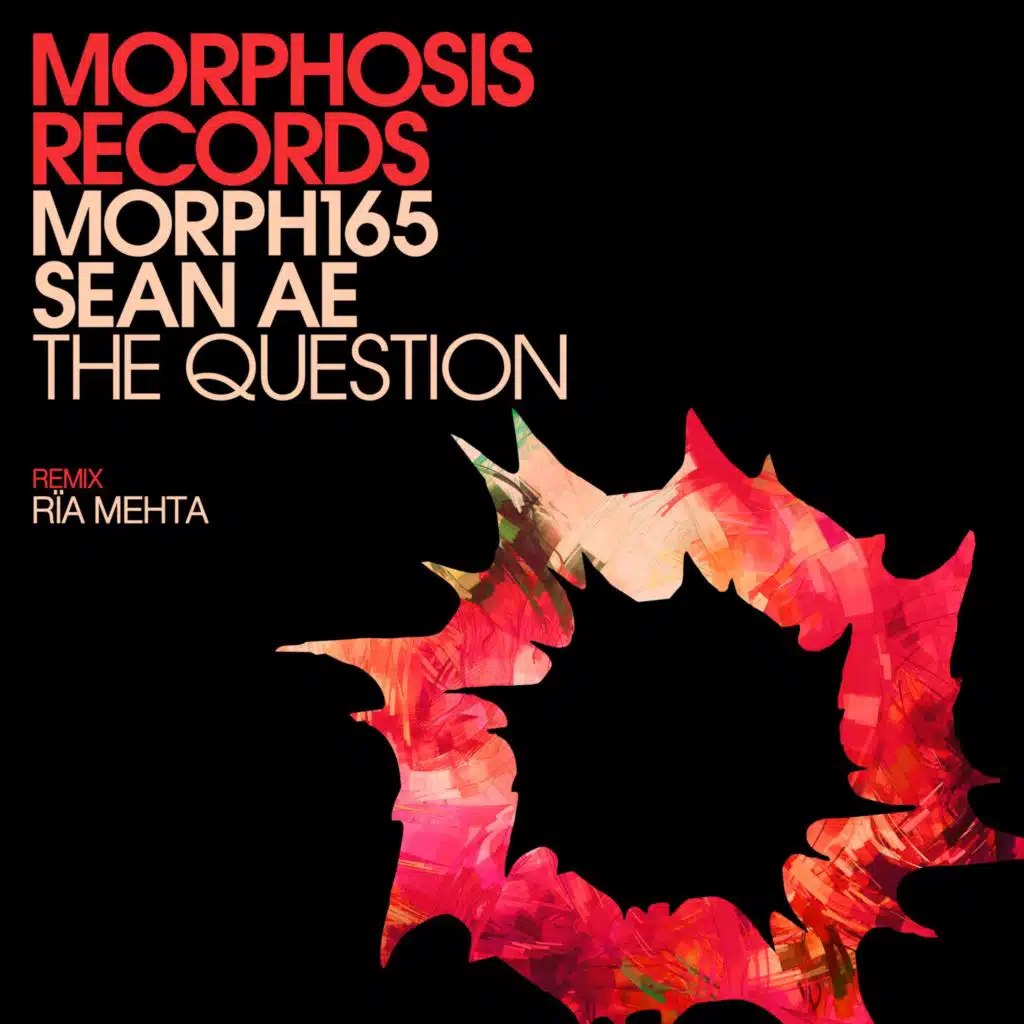 The Question (Rïa Mehta Remix)