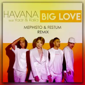 Big Love (DJ Mephisto & Festum Music Remix) [feat. Yaar & Kaiia]
