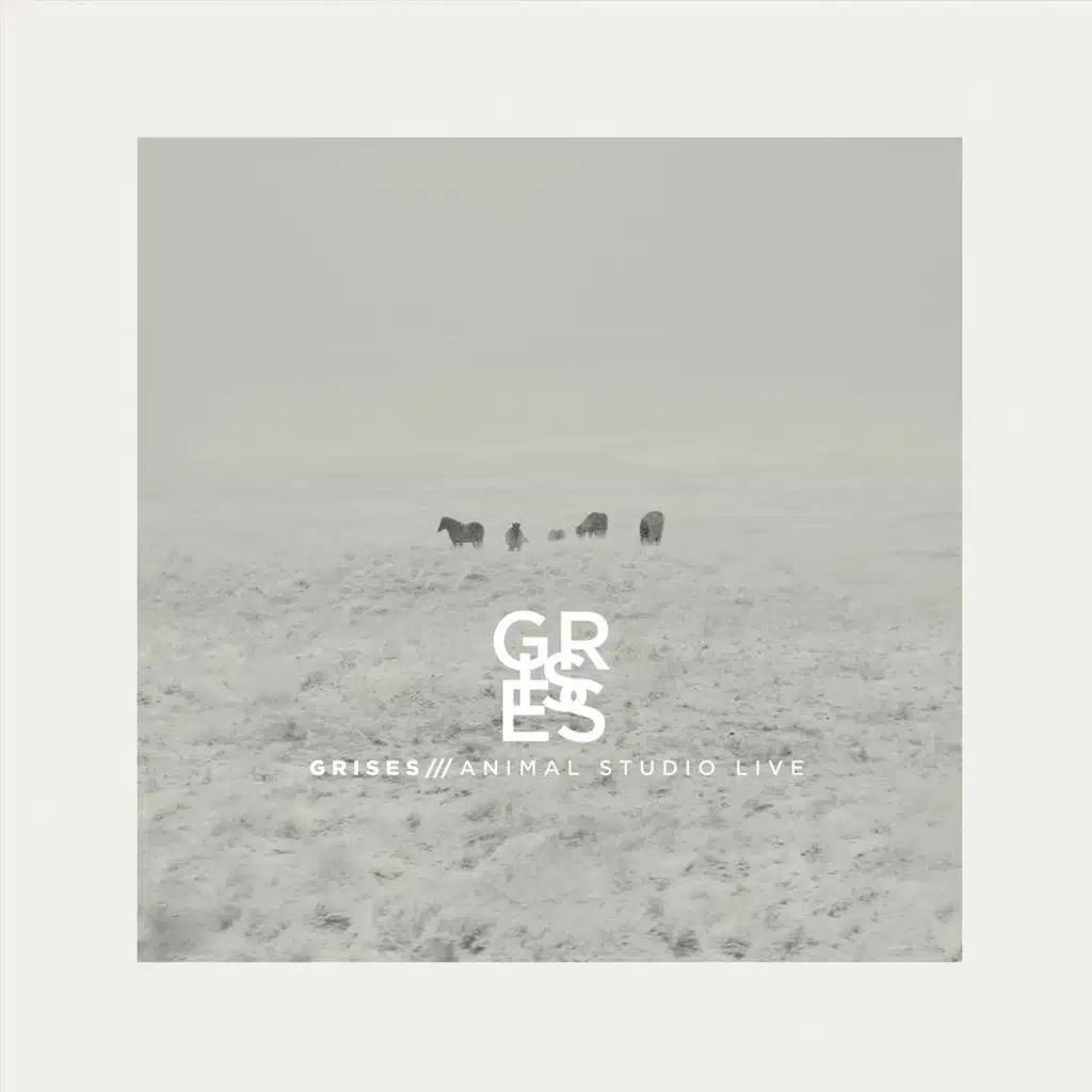 Grises Animal (Studio Live)