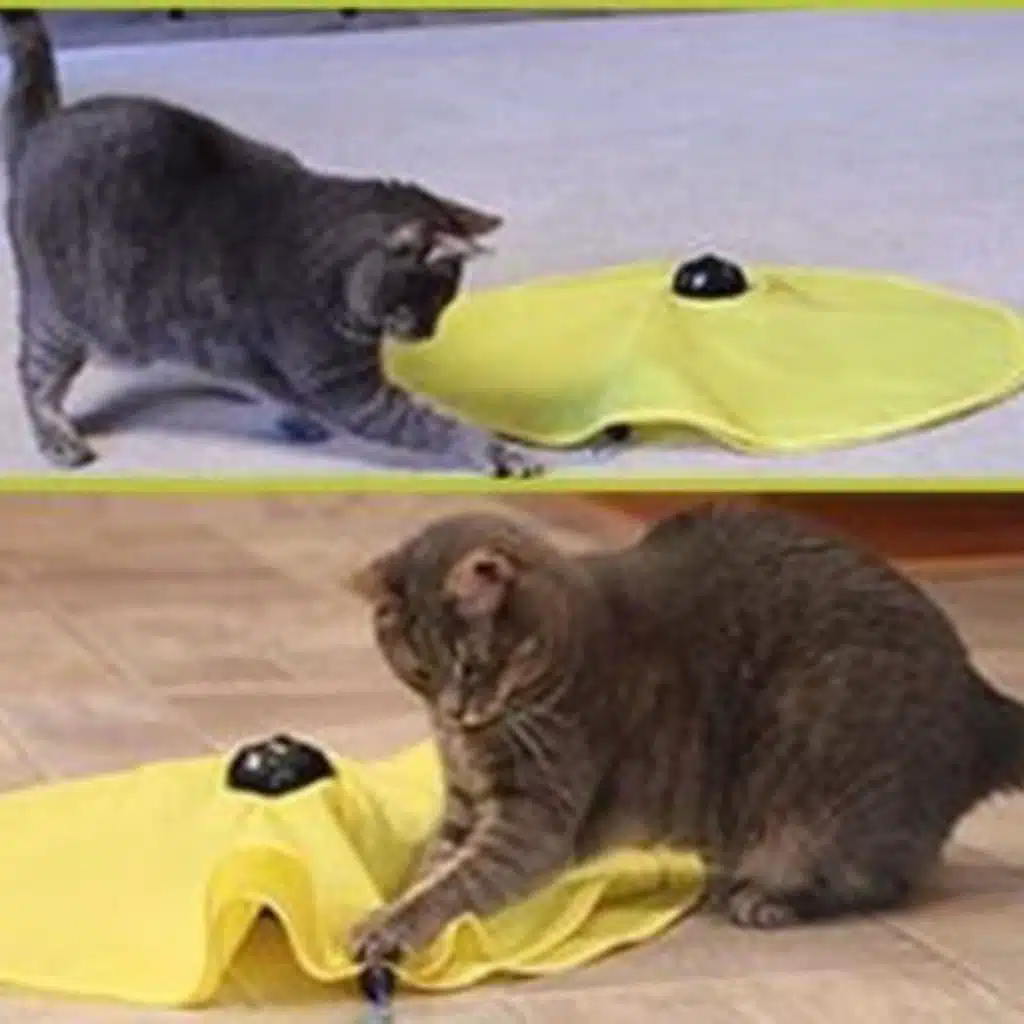 Cats Meow's Podcast