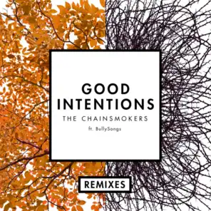Good Intentions (Remixes) [feat. BullySongs]