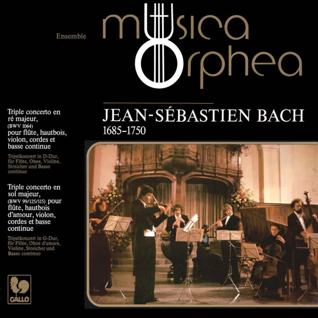 Triple Concerto in G Major, BWV 99/125/115: I. Allegro moderato