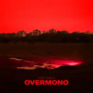 I Have a Love (Overmono Remix (Mixed))