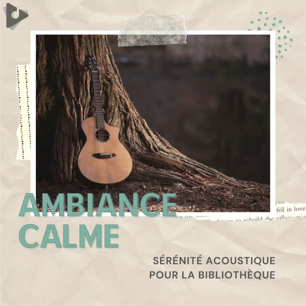 Sérénité Acoustique Pour La Bibliothèque