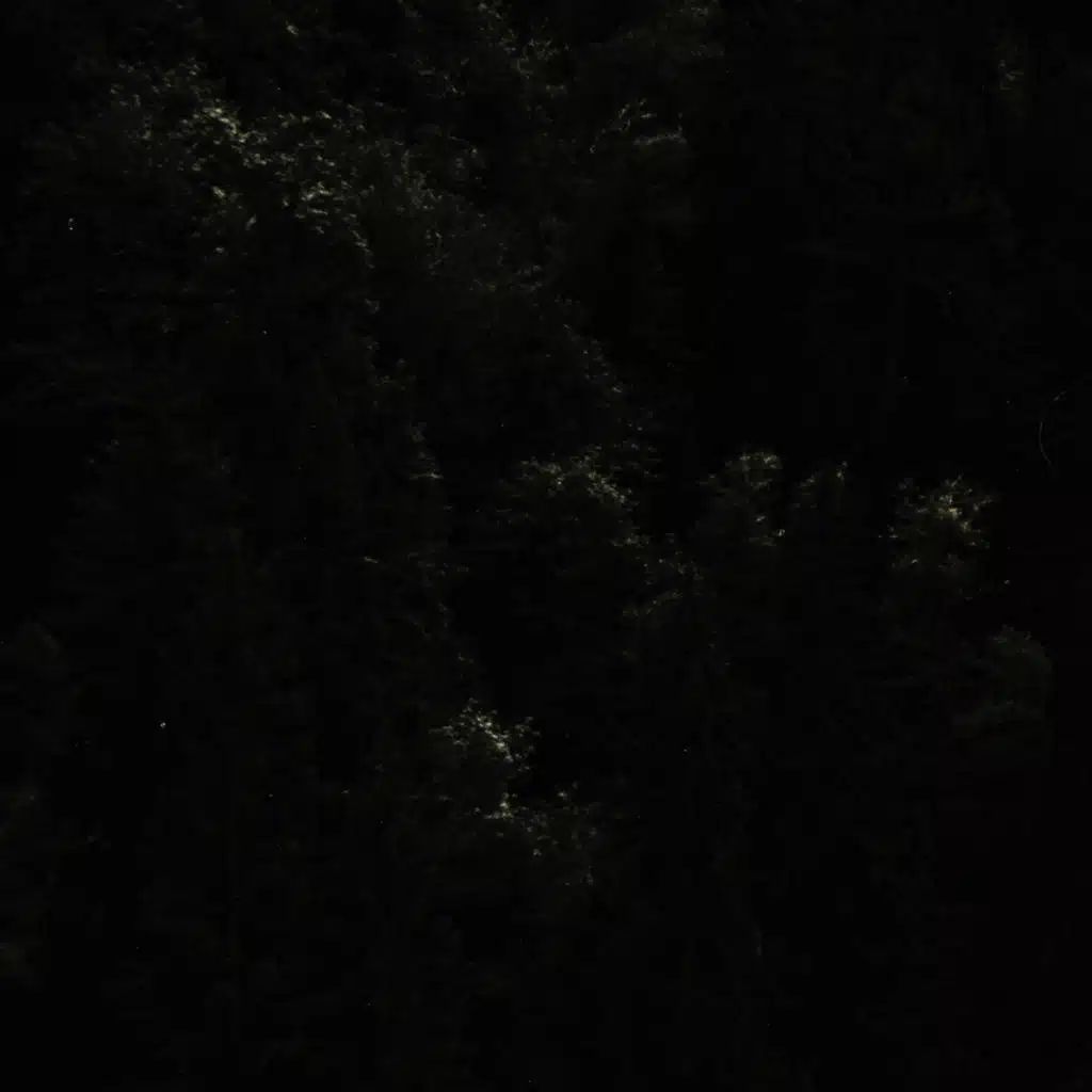 СлишкомПоздно