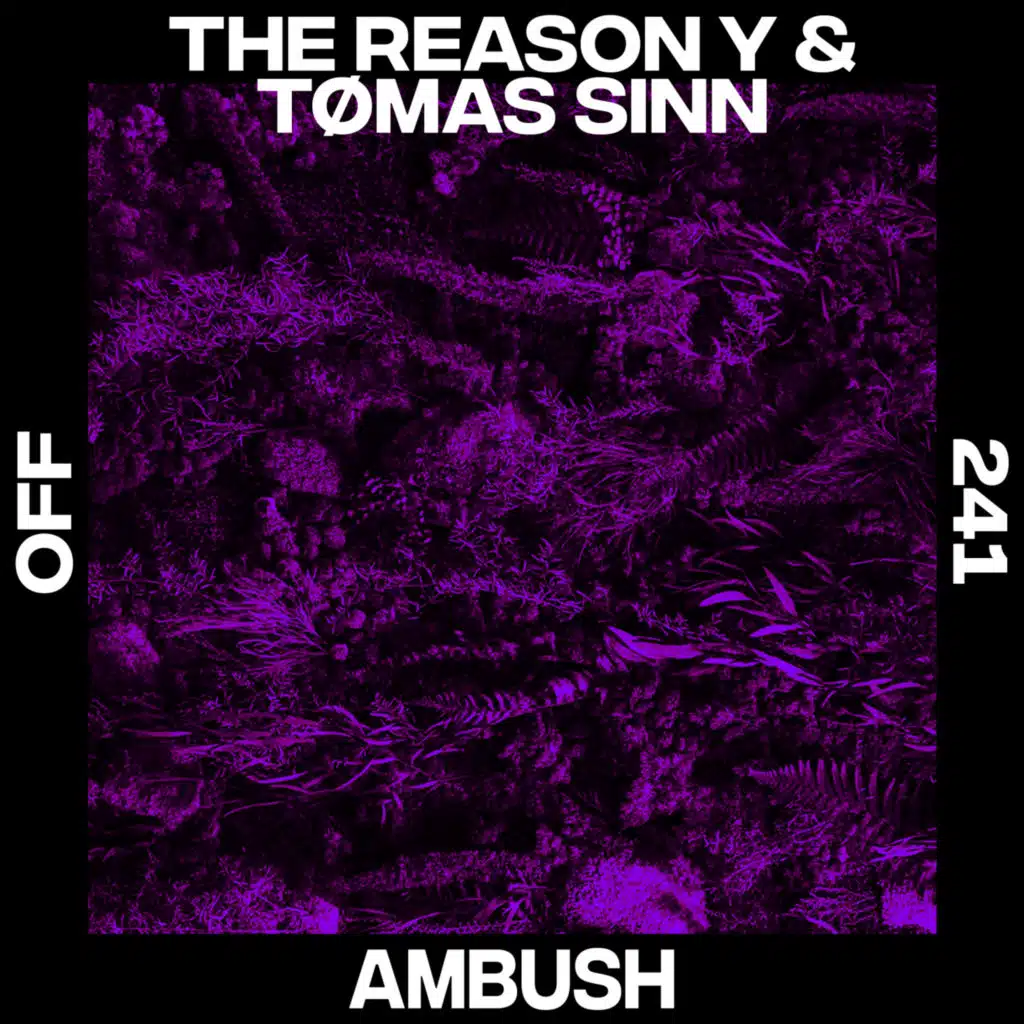 The Reason Y and Tømas Sinn